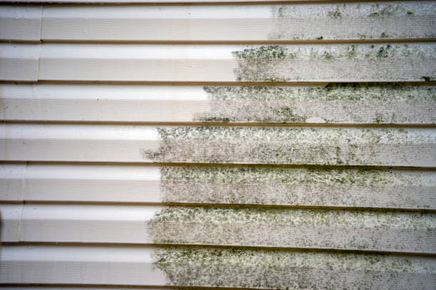 Reliable Butler, AL Siding Installation & Repair Solutions
