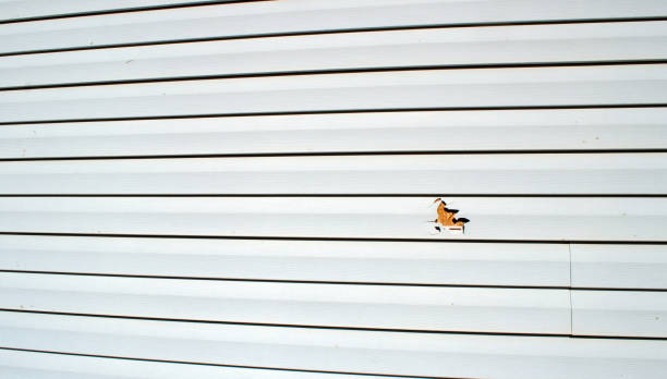 Best Fiber Cement Siding Installation  in Butler, AL