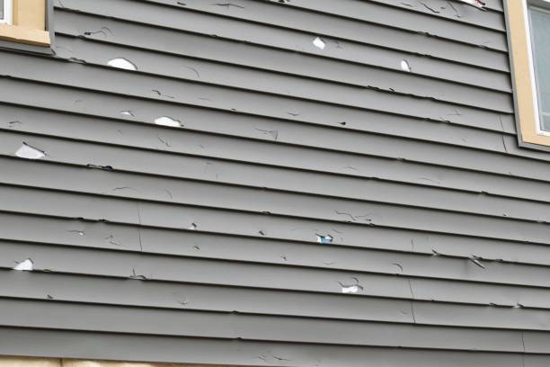 Best Residential Vinyl Siding Installation  in Butler, AL