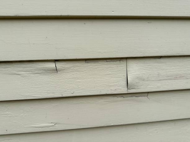 Best Custom Trim and Detailing for Siding  in Butler, AL